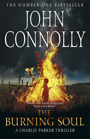 The Burning Soul Book Cover