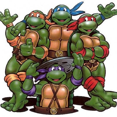 Bay's Ninja Turtles find their Splinter...